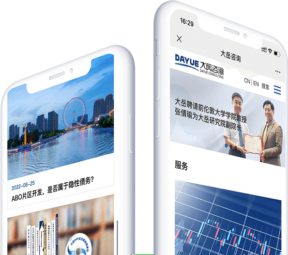 北京大岳咨詢(xún)有限責(zé)任公司